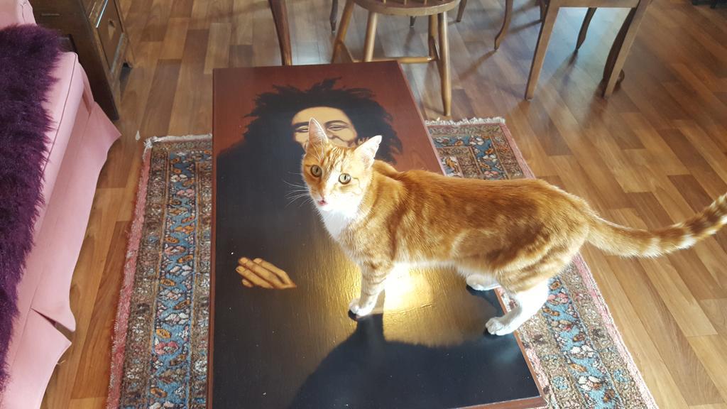 The Bohemian Art Studio クレスウィック エクステリア 写真
